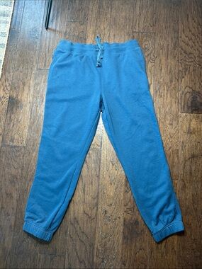Goodfellow & Co Slate Blue Sweatpants